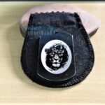 Dog Tag Grossa em Aço Inox: Plaqueta com leão coroado, ideal para presente personalizado.