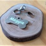 Plaquinha de identificação para pet "Meggie Mania de Metal