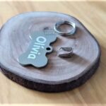 Plaqueta de identificação para pet com nome "Olívia Mania de Metal