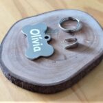 Plaquinha de identificação para pet com nome Olívia. Mania de Metal